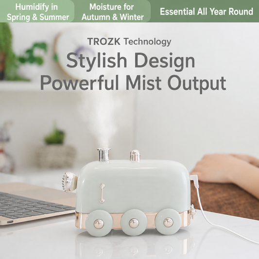 Mini Train Humidifier